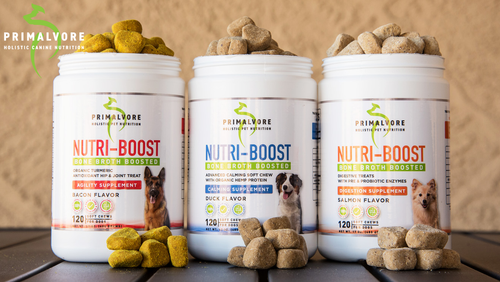 Introducing Bone Broth Boosted Supplement Chews