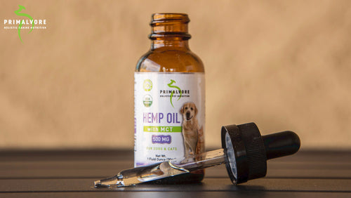 Introducing Hemp Oil for Dogs & Cats