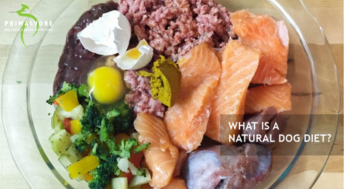 What Is A Natural Dog Diet?
