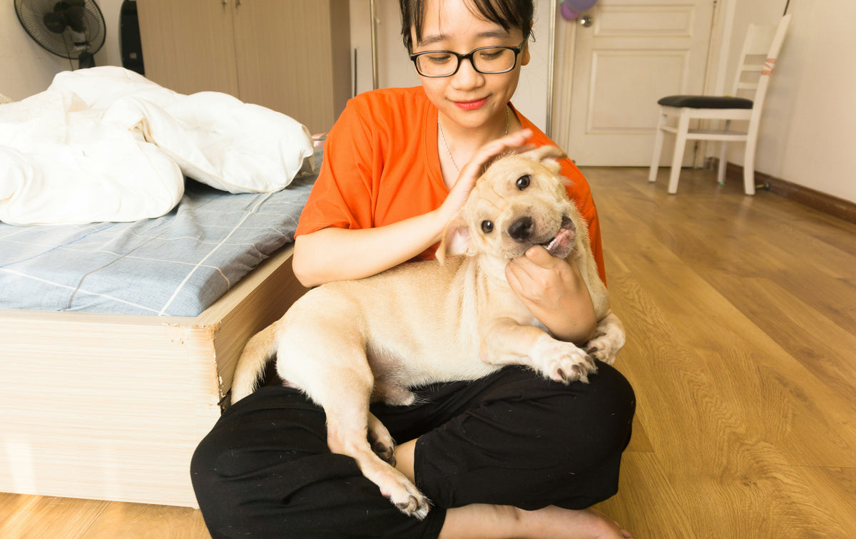 Happy pet parent with their pet