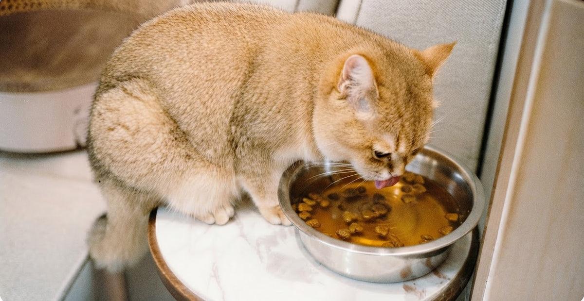 From Smokey's Bowl to Something Bigger