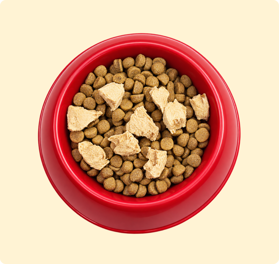 Bowl of kibble with a mass-market food topper